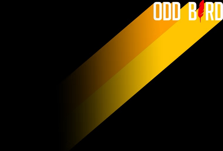 Odd Bird